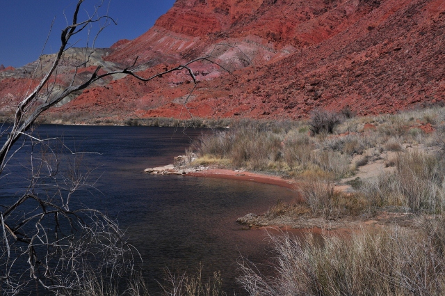 Lee's Ferry River Tail